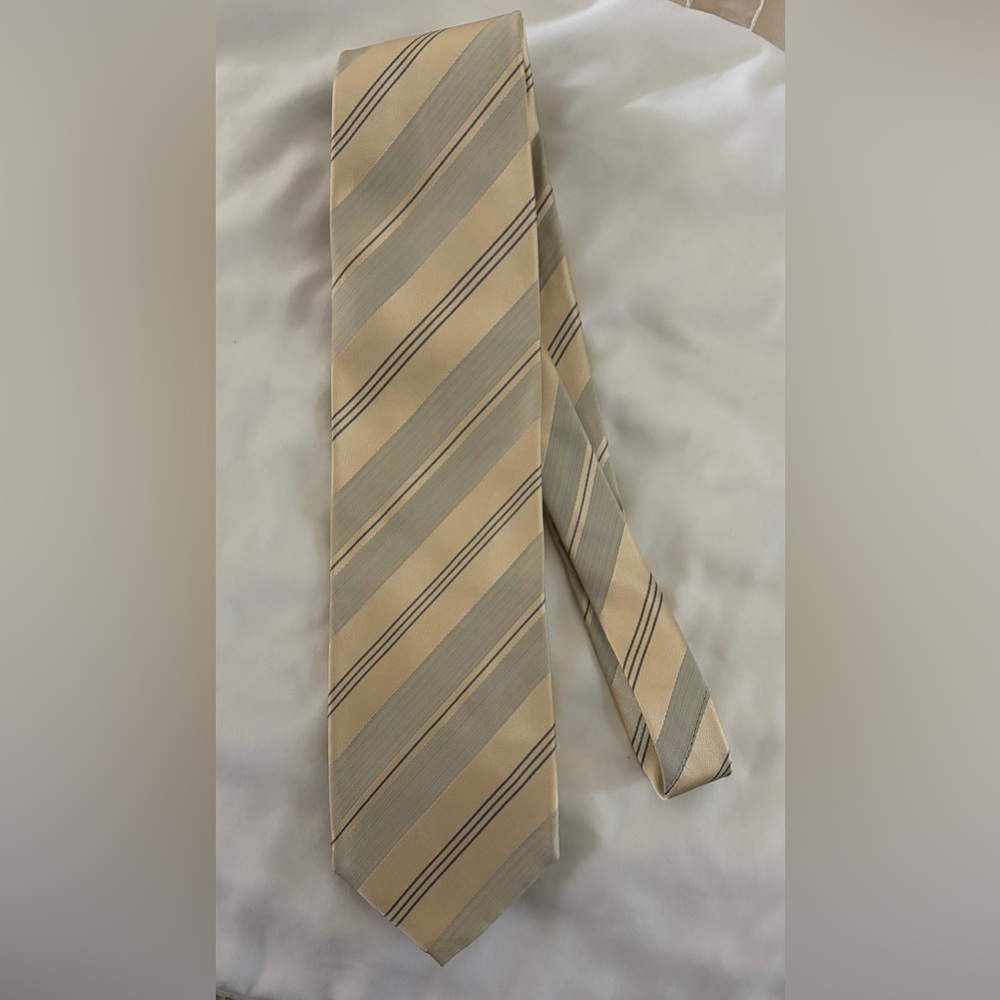 Giorgio Armani Men’s Crème Silver 100% Silk Made in Italy Neck Tie